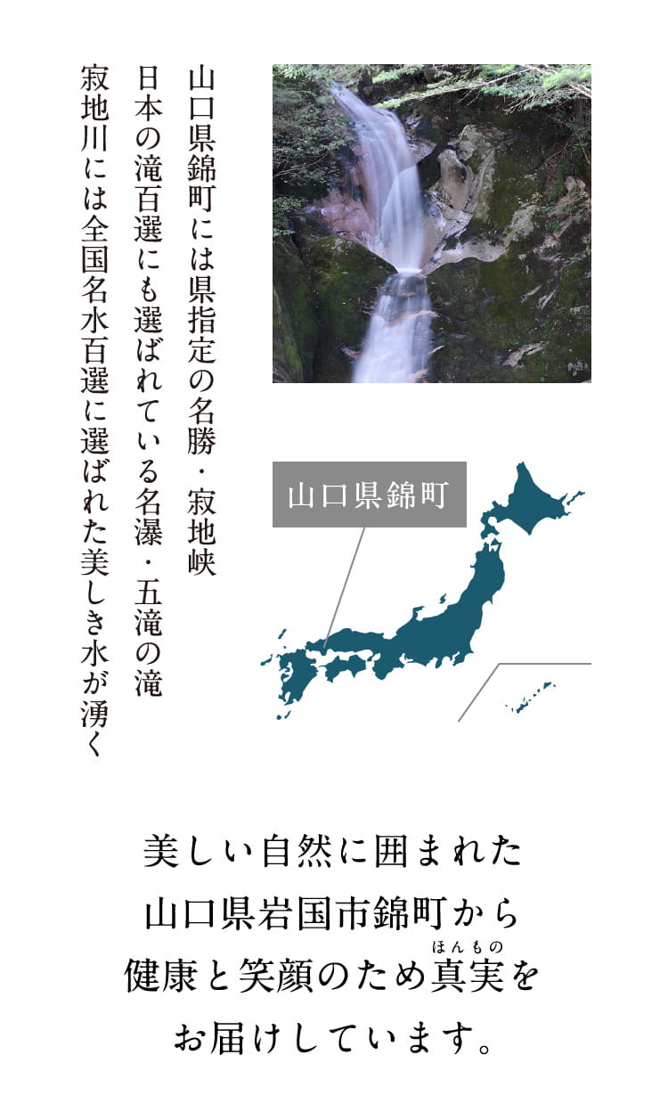 山口県錦町には県指定の名勝・寂地峡 日本の滝百選にも選ばれている名瀑・五滝の滝 寂地川には全国名水百選に選ばれた美しき水が湧く